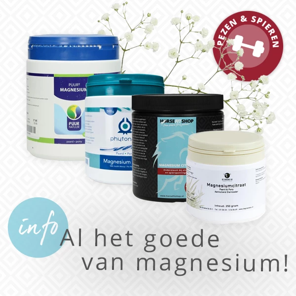 Al het goede van magnesium