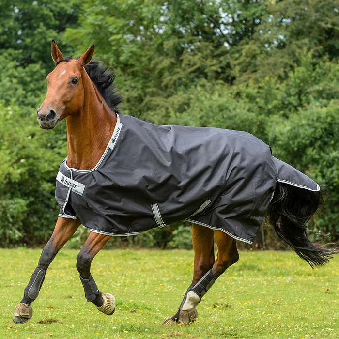 Alles over regendekens