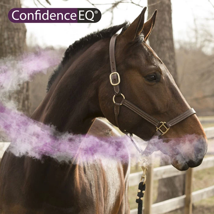Confidence EQ Gel: Een kalmerende gel voor jouw paard