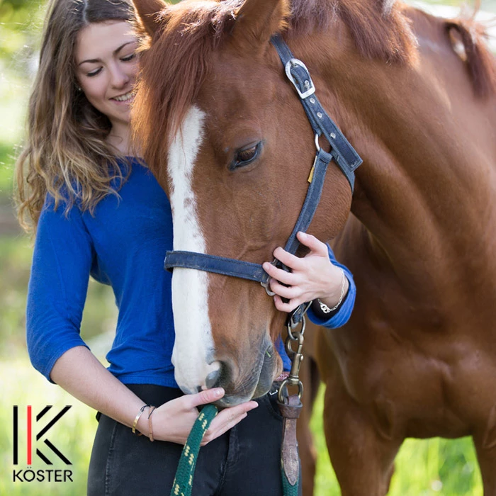Gastblog Advocate Monica: Bewijzen dat een paard jouw eigendom is