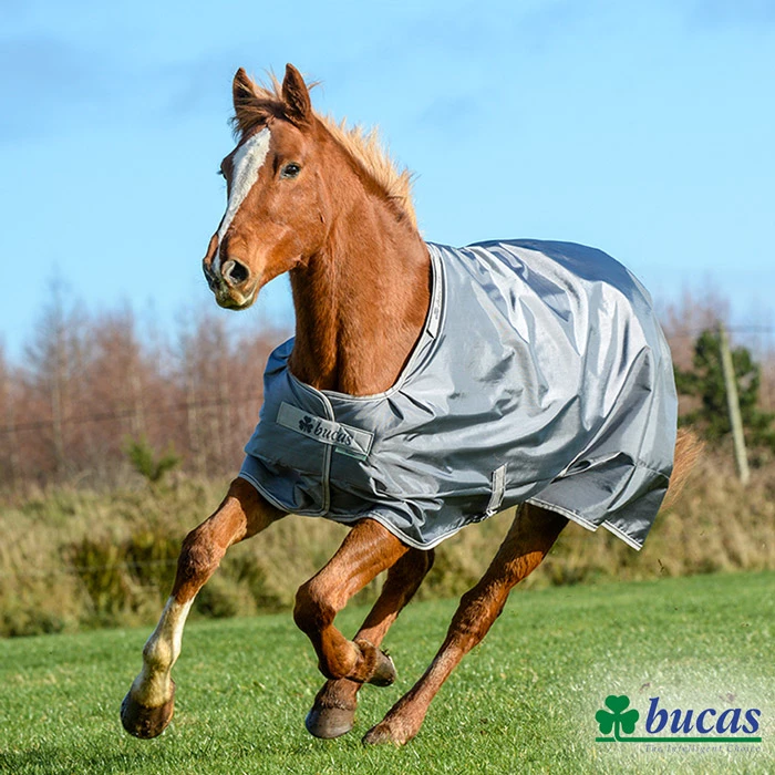 Gastblog Bucas: Welke Smartex deken, de Rain, medium of extra, heeft mijn paard nodig?