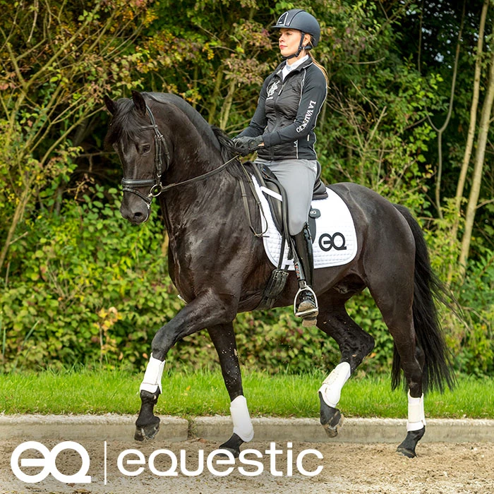 Gastblog Equestic: Rechtrichten met de Equestic SaddleClip