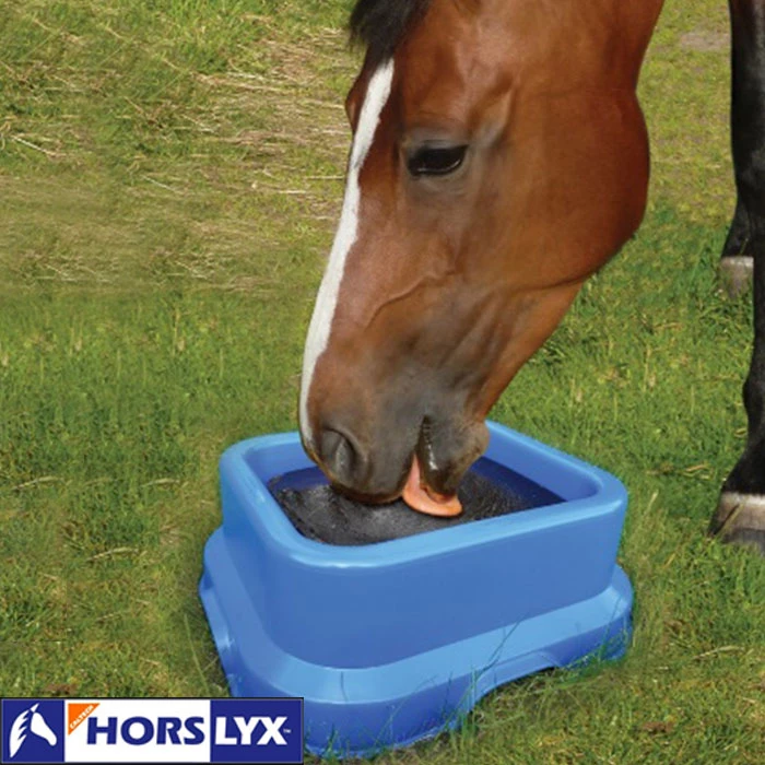 Gastblog Horslyx: Ongerust over suiker en je paard?