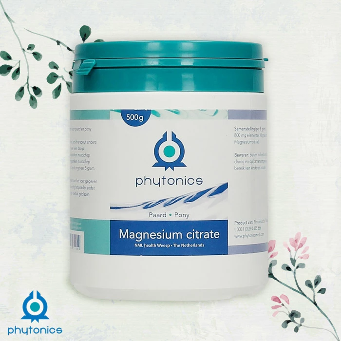 Gastblog Kelly van Phytonics: Wat doet Magnesium eigenlijk voor je paard?