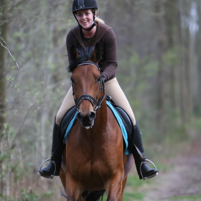 Gastblog Lammert Haanstra: Hoe motiveer jij jezelf en je paard?