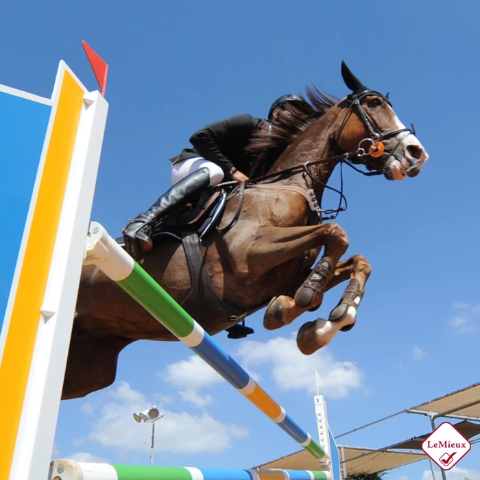 Gastblog LeMieux by JRS: Stel een springoutfit voor je paard samen