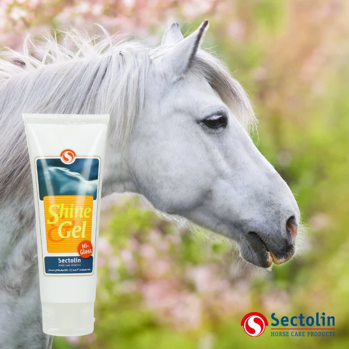 Gastblog Sectolin: Grooming tips voor manen & staart