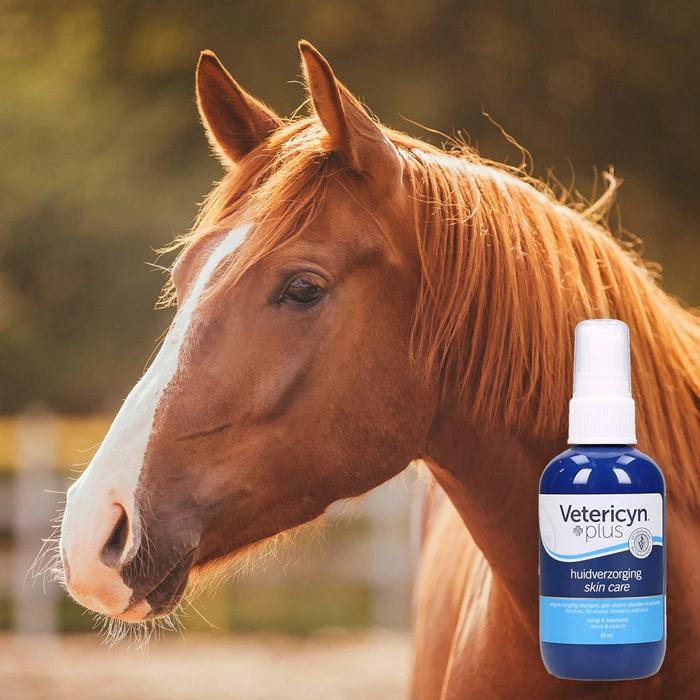 Gastblog Vetericyn: Met Vetericyn anticipeer je op onvermijdelijke ongelukjes bij je paard