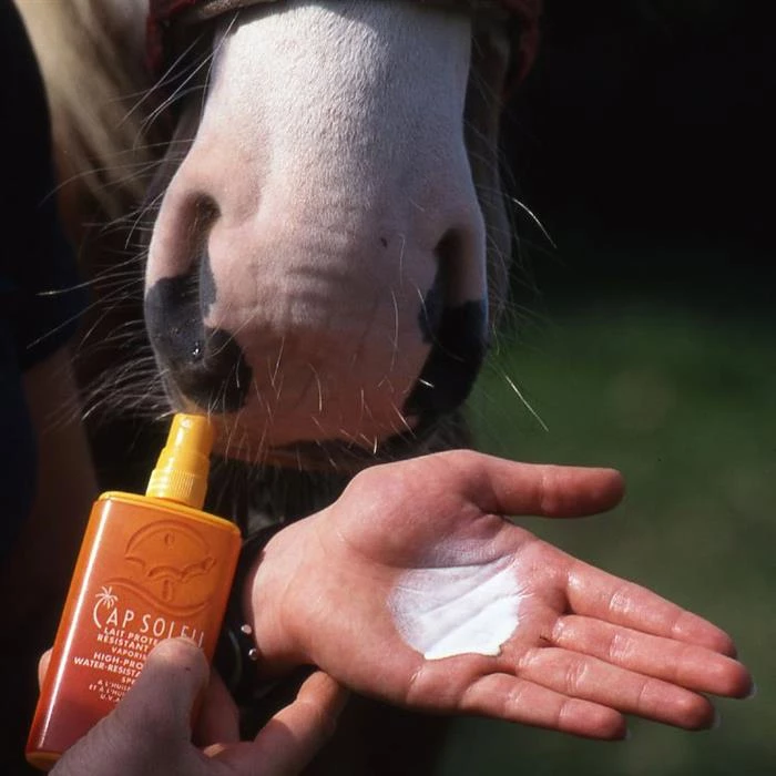 Hoe bescherm je je paard tegen zonverbranding?