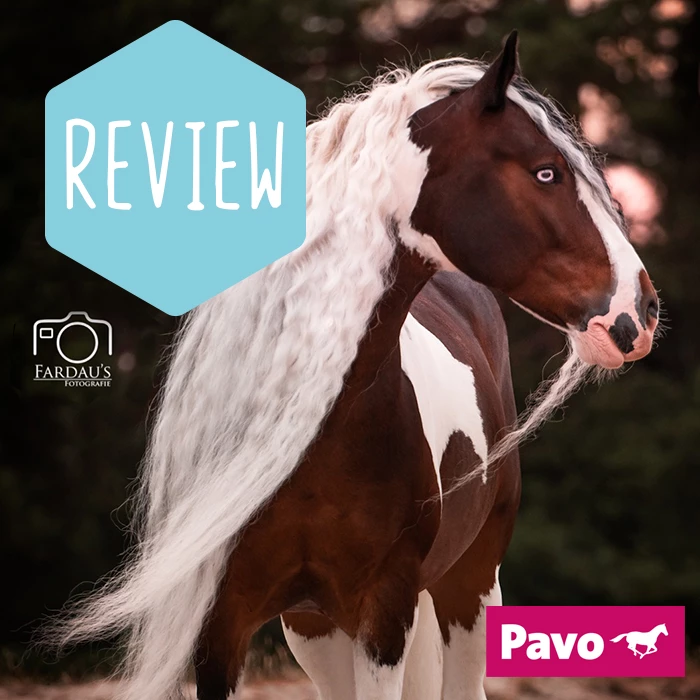 Review Pavo ReHydrate
