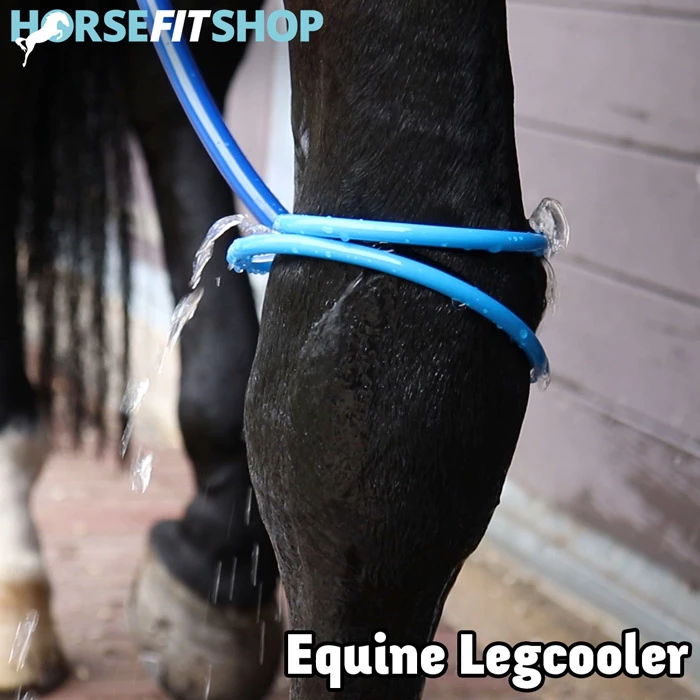 || VIDEO || HFS Productvideo: De benen van je paard koelen met de Equine Legcooler